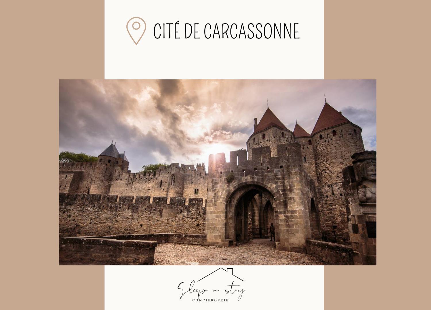 Apartment La Terasse Carcassonne Buitenkant foto